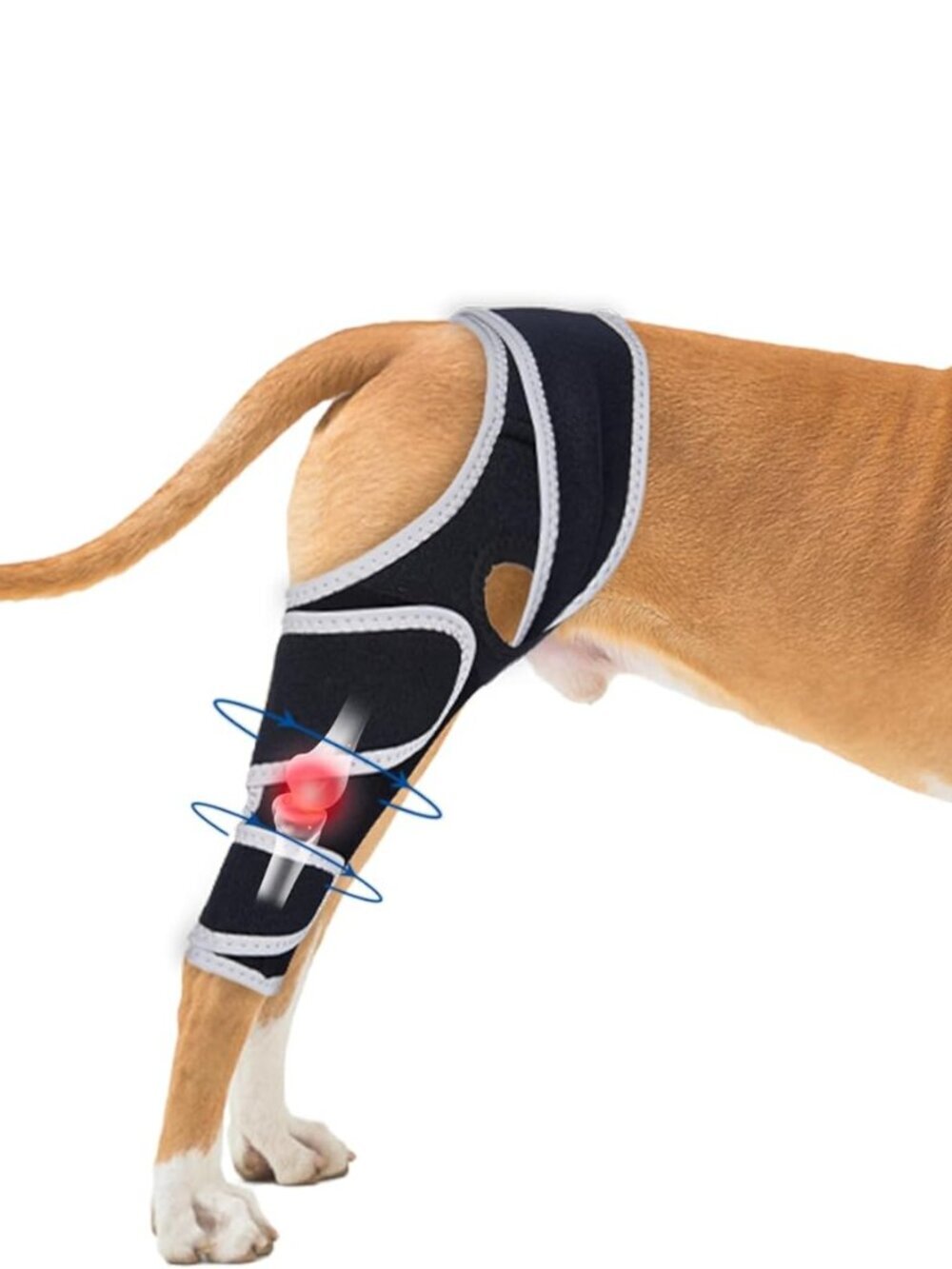 Dog Knee Brace for Torn Acl Hind Leg